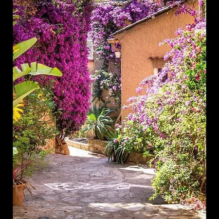 Appartement Bord De Mer La Faviere Bormes-les-Mimosas Exterior photo