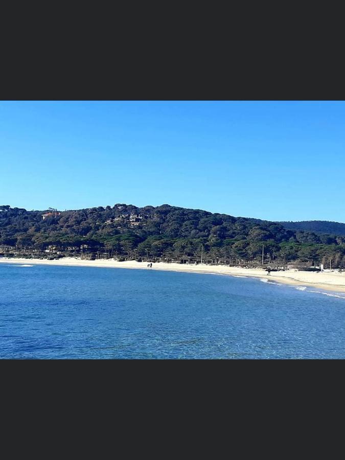 Bord De La Faviere Bormes-les-Mimosas