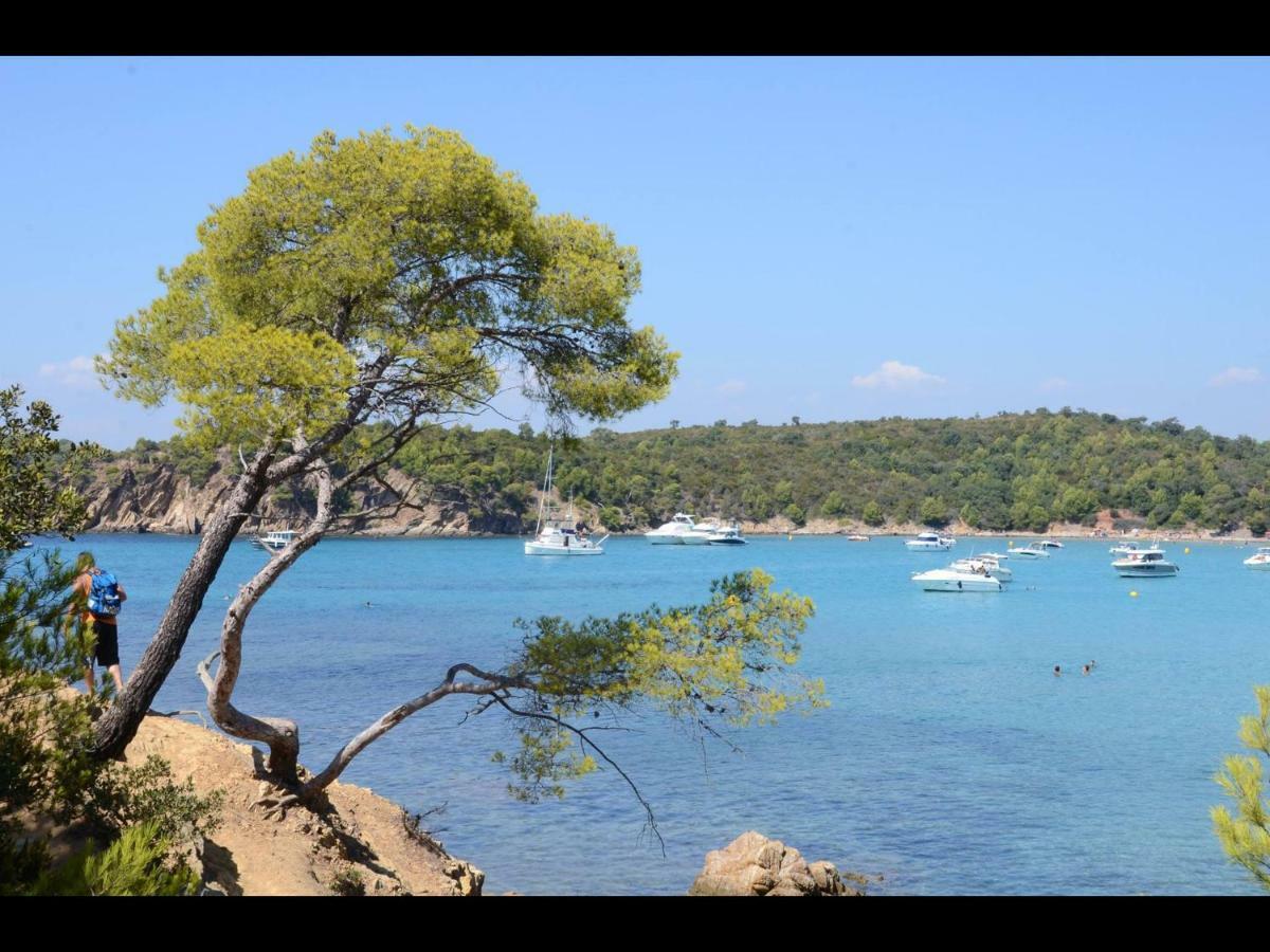Bord De La Faviere Bormes-les-Mimosas
